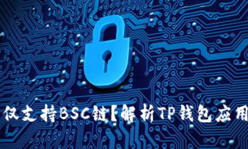 为什么TP钱包仅支持BSC链？解析TP钱包应用的优势与局限