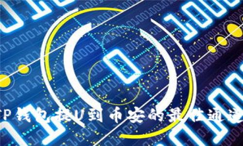 如何选择TP钱包提U到币安的最佳通道：全面指南