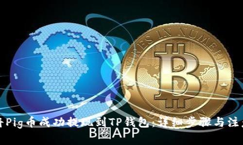 如何将Pig币成功提现到TP钱包：详细步骤与注意事项