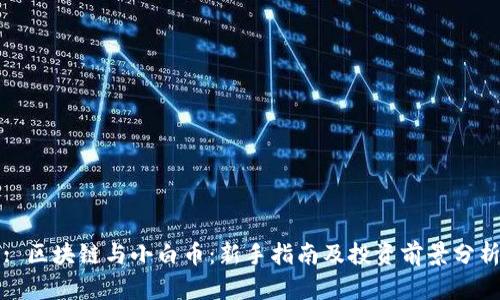 : 区块链与小白币：新手指南及投资前景分析