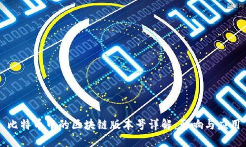 比特币中的区块链版本号详解：影响与应用