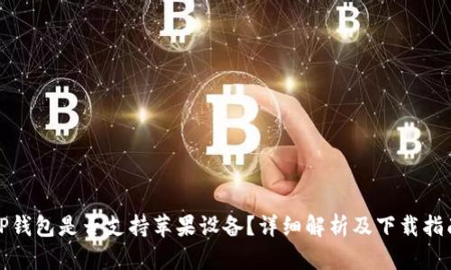 TP钱包是否支持苹果设备？详细解析及下载指南