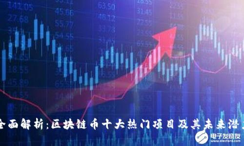 全面解析：区块链币十大热门项目及其未来潜力